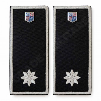 Grade Sef Serviciu Politia Locala v3