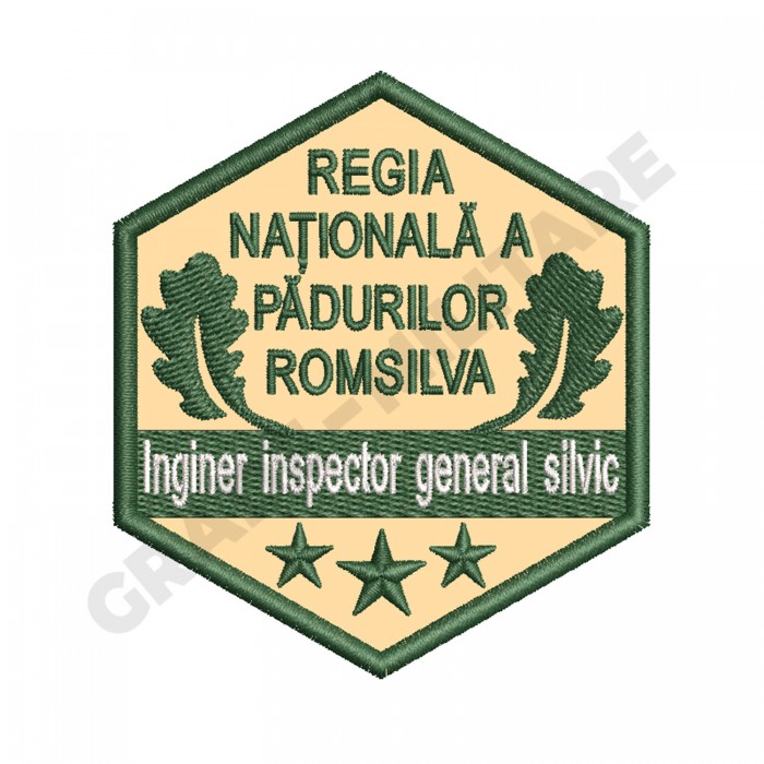 Ecuson Inginer Inspector General Silvic gradatia I