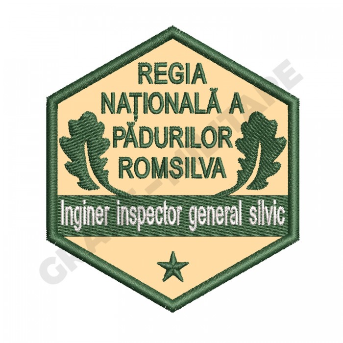 Ecuson Inginer Inspector General Silvic gradatia III