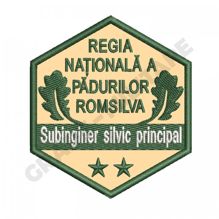 Ecuson Subinginer Silvic Principal gradatia II Ecuson Subinginer Silvic Principal gradatia II