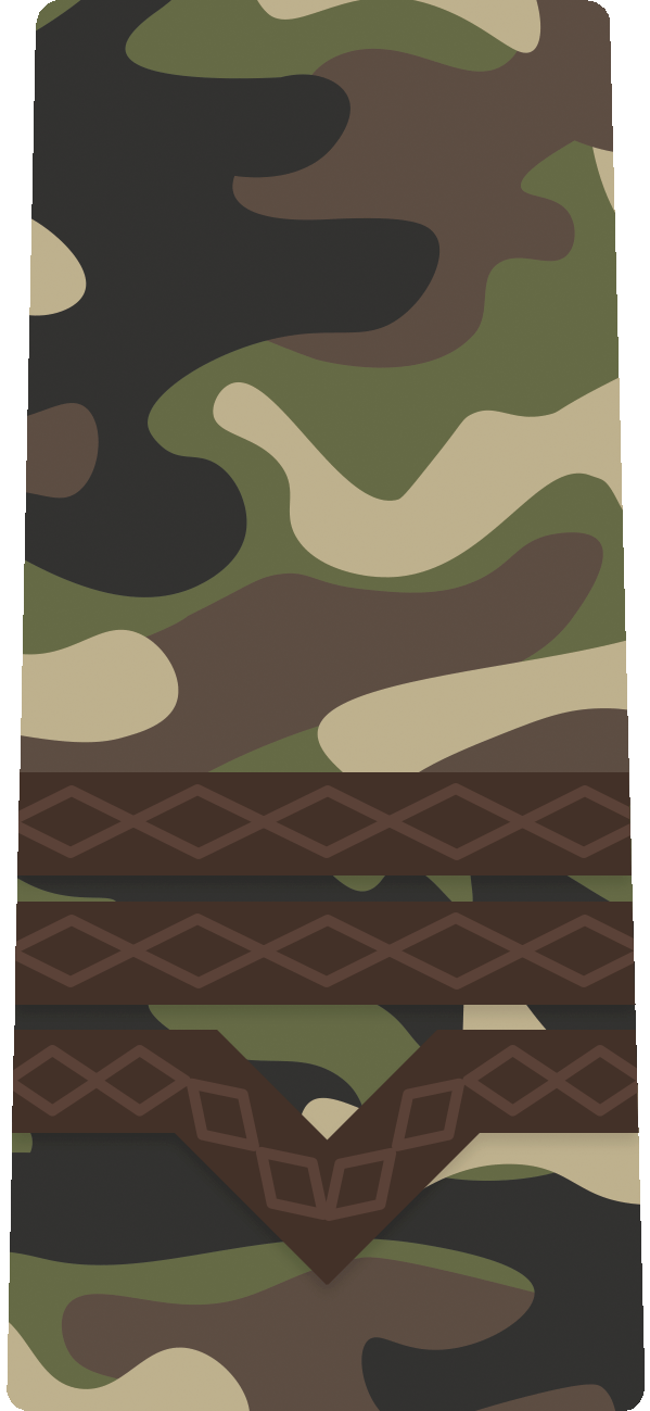 Maistru militar clasa III