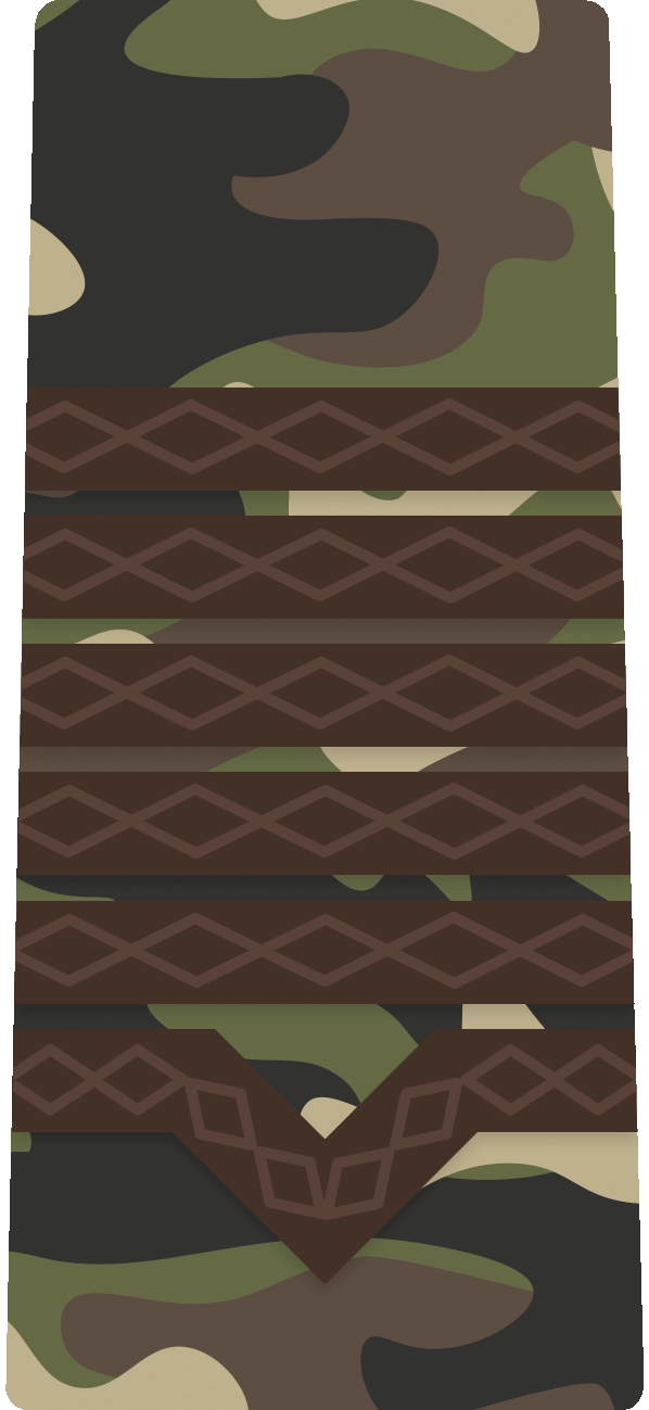 Maistru militar principal