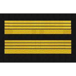 Grade maneca pentru Colonel MAPN