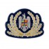 Emblema coifura bereta general Jandarmerie